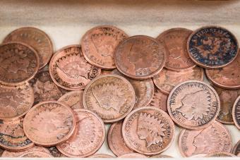 10 Pennies from the 1800s Worth $510M That Could Change Your Life!